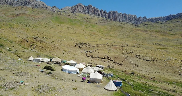 Yıllardır gidilemeyen yaylalarda silah sesi yerini koyun kuzu seslerine bıraktı