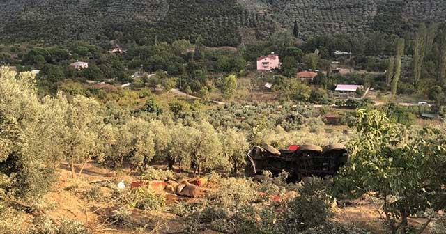 100 tonluk vinç zeytinliğe yuvarlandı