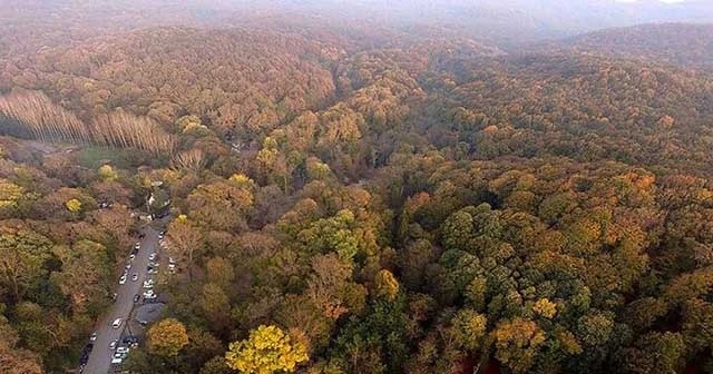 315 kaçak yapının yıkımı tamamlandı