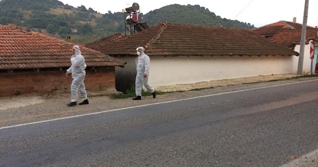 6 bin tavuğun ölü bulunduğu mahalle karantinaya alındı