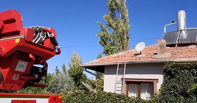 Ağaç budarken kafası ipe dolanan şahıs hayatını kaybetti