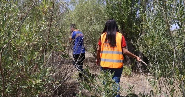 Ağrı'da kaybolan çocuk aranıyor
