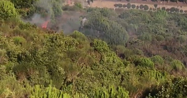 Aydos Ormanı&#039;ndaki yangının çıkış anı kamerada