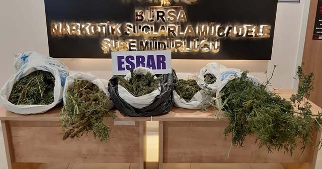 Bagajdan çuval çuval esrar çıktı