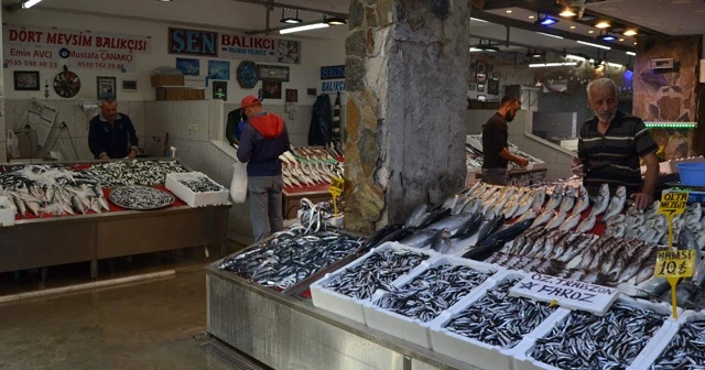 Balık bollaştı, tezgâhlar şenlendi