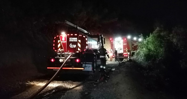 Beykoz&#039;da korkutan orman yangını