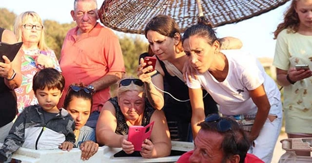 Bodrum’da ilk kez görüldü, ekipler alarma geçti