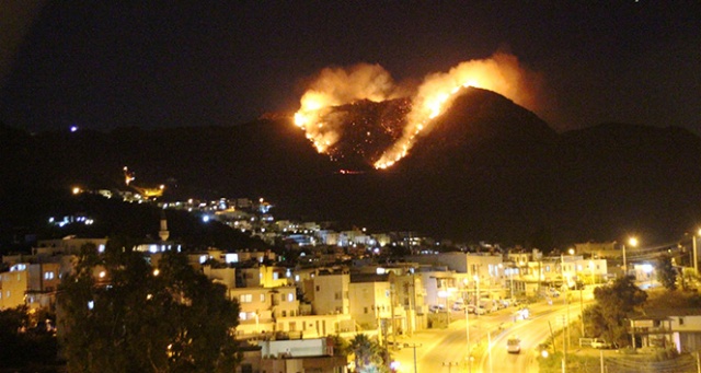 Bodrum&#039;da makilik alanda yangın çıktı