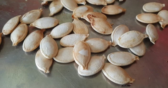 Bu çekirdeğin kilosu 5 bin lira