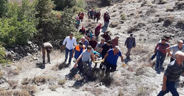 Cevizden düşen kadını bir kilometre boyunca taşıdılar
