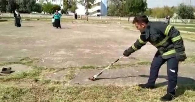 Çocuk parkında panik! Gören telefona sarıldı