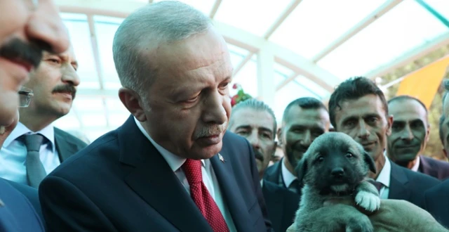 Cumhurbaşkanı Erdoğan&#039;a Kangal yavrusu hediye edildi