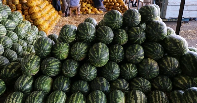 Domates 50, karpuz 20 kuruşa düştü