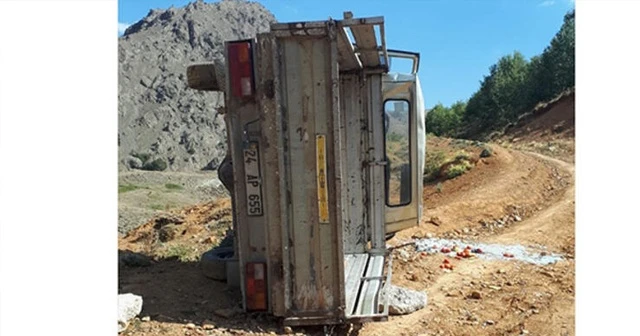 Freni boşalan kamyonet devrildi: 4 yaralı