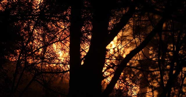Hatay&#039;da orman yangını