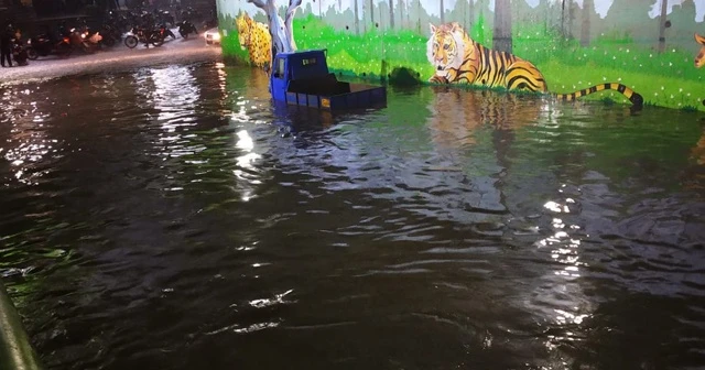 Hindistan’da sel felaketi: 11 ölü