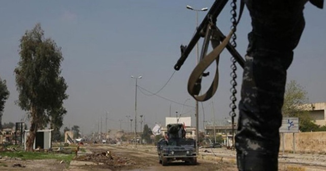 Irak&#039;ta DEAŞ&#039;tan bomba yüklü iki inekle saldırı