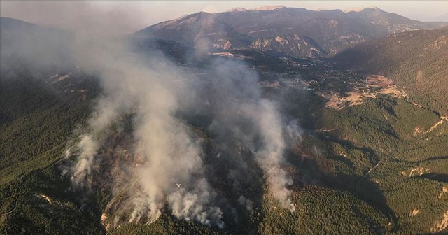 Kaş&#039;taki orman yangınında hızlı müdahale yayılmayı önledi