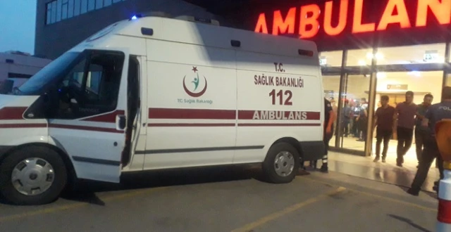 Köpeğe ateş ederken kuzenini öldürdü