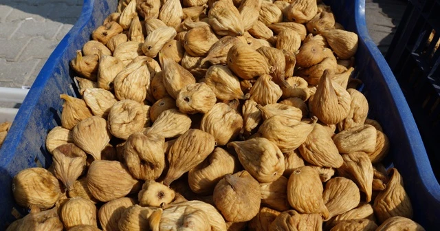 Kuru incir pazarda 40 TL’ye kadar alıcı buluyor