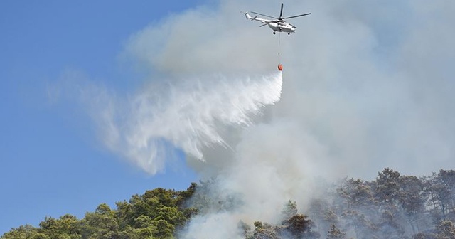 Muğla&#039;da orman yangını