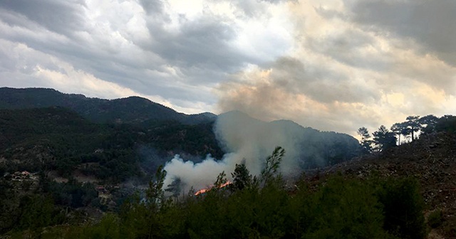 Muğla’da yıldırım yangınları