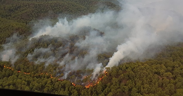 Muğla&#039;daki yangın için bölgeden helikopter desteği geldi