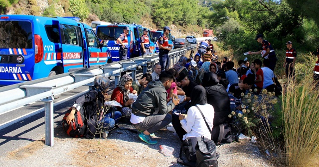 Mültecileri bıraktı! 48 bin doları alıp kaçtı