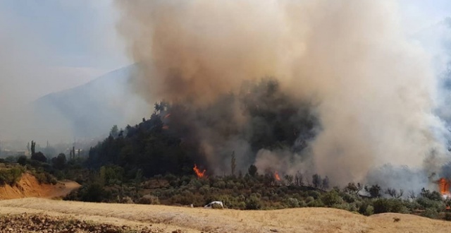 Orman yangını güçlükle kontrol altına alındı