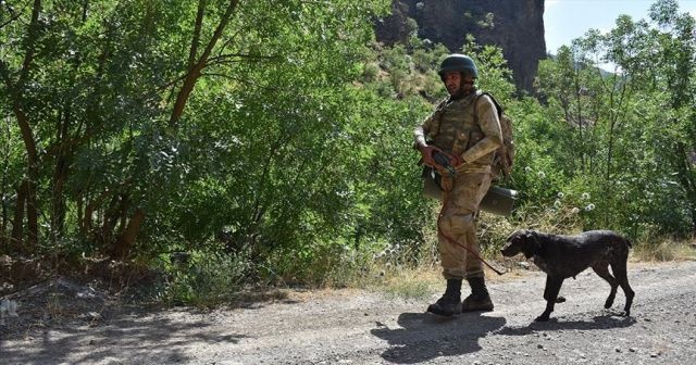 PKK&#039;ya ait toprağa gömülü el yapımı patlayıcı bulundu