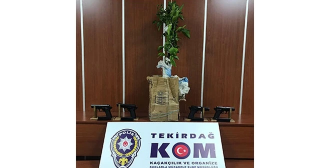 Saksı toprağında kaçak silah taşıdılar
