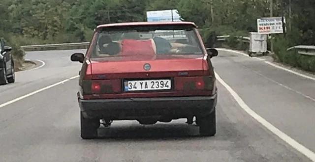 Tehlikeli yolculuk kamerada