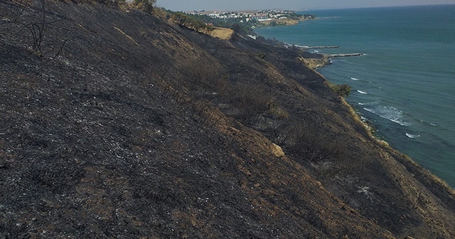 Tekirdağ’da ormanlık alanda yangın