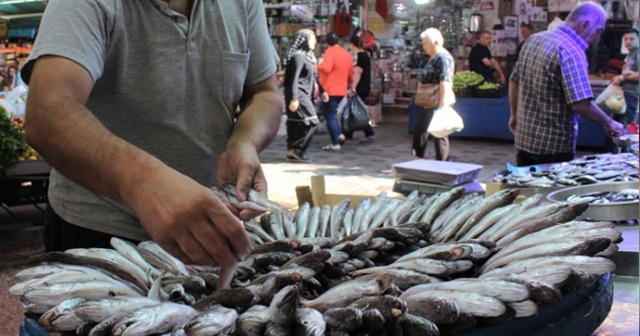 Tezgahta en ucuz balık sardalya