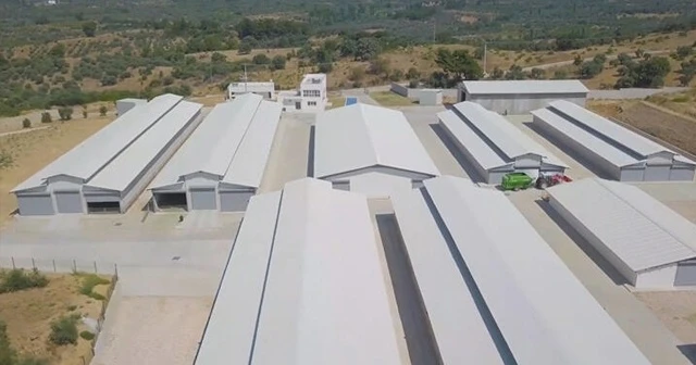 Türkiye’nin en modern keçi çiftliği kuruldu