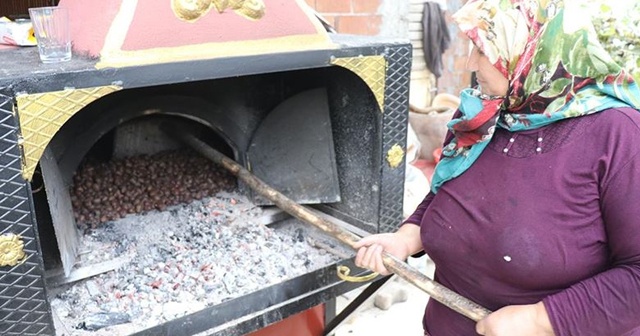 &#039;Dikenli altın&#039;ı geleneksel yöntemle saklıyorlar