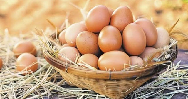 ABD’ye yumurta ihracatı başlıyor