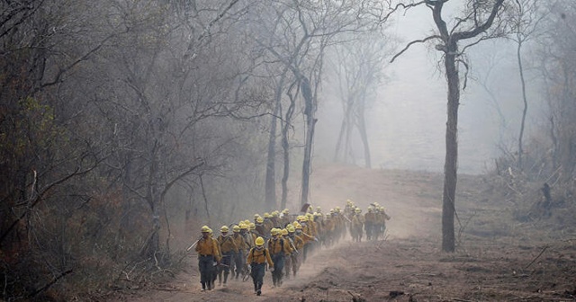 Amazon&#039;daki yangınlar yağışlarla söndü