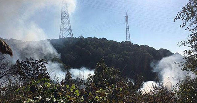 Beykoz&#039;da korkutan yangın!