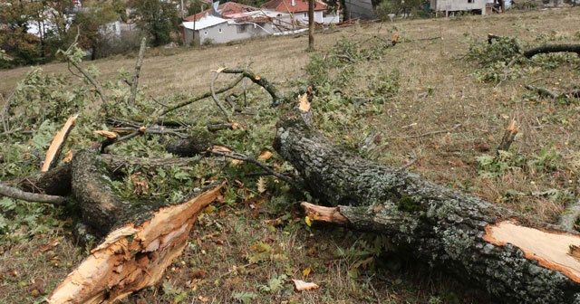 Bolu&#039;da hortum