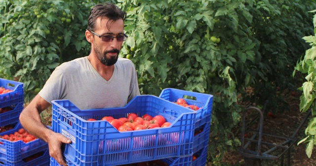 Çiftçiye şok yaşatan ceza