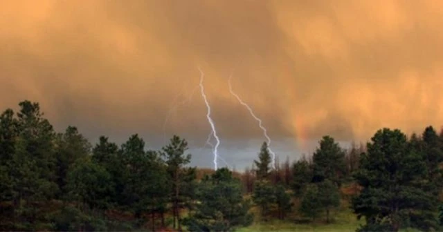 Düşen yıldırım ormanı yaktı
