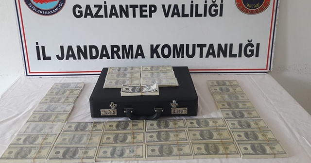 Gaziantep’te piyasaya sahte dolar süren 2 kişi yakalandı