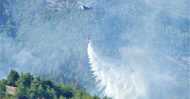 Hatay&#039;da orman yangını