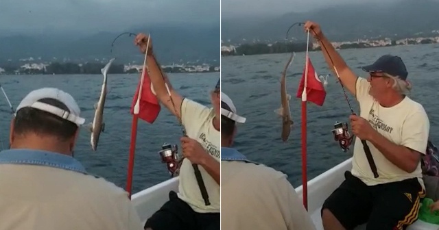 İzmir’de art arda köpek balığı heyecanı