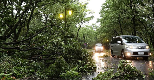 Japonya&#039;daki Hagibis Tayfunu&#039;nda ölü sayısı 19 oldu