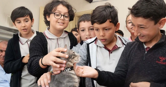 Öğrenciler sokak hayvanlarını unutmadı