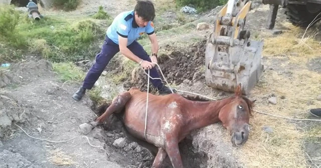 Sahipsiz atı itfaiye kurtardı