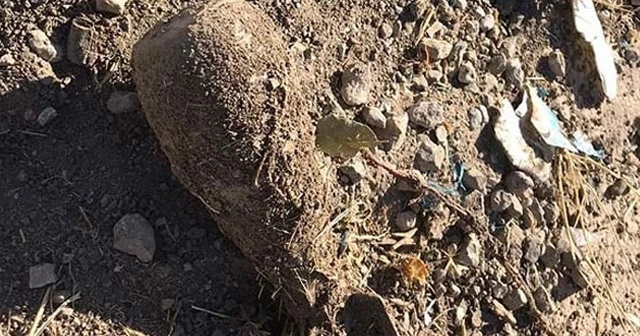 Siirt'te yola tuzaklanan patlayıcı imha edildi