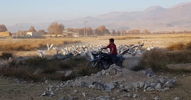 13 yıldır hayvanlarla  kurulan dostluk görenleri şaşırtıyor